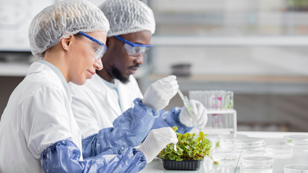 Laboratory technicians analyzing fresh produce for safety compliance – Safety Is A Mindset